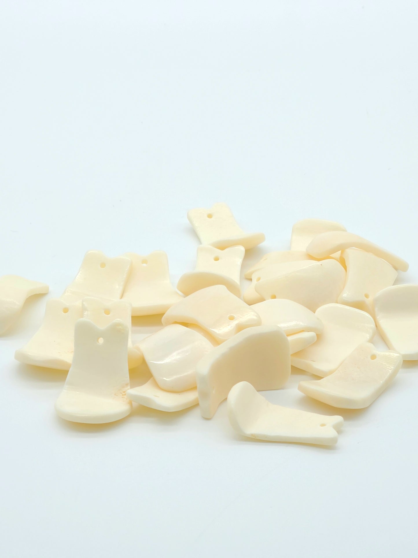 Elk Teeth hand carved Bone Pendant