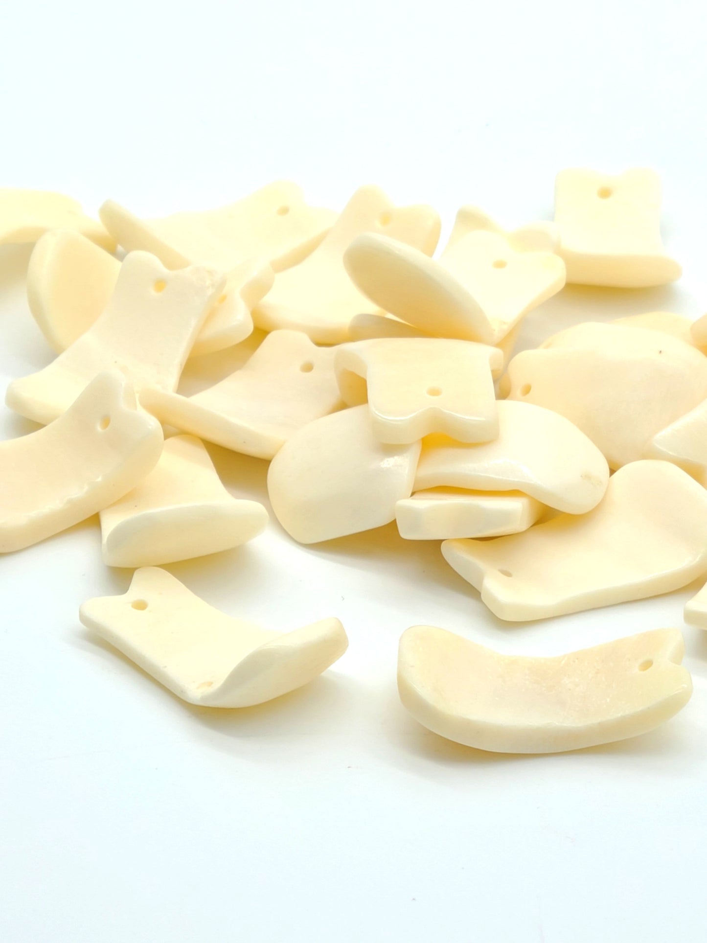 Elk Teeth hand carved Bone Pendant