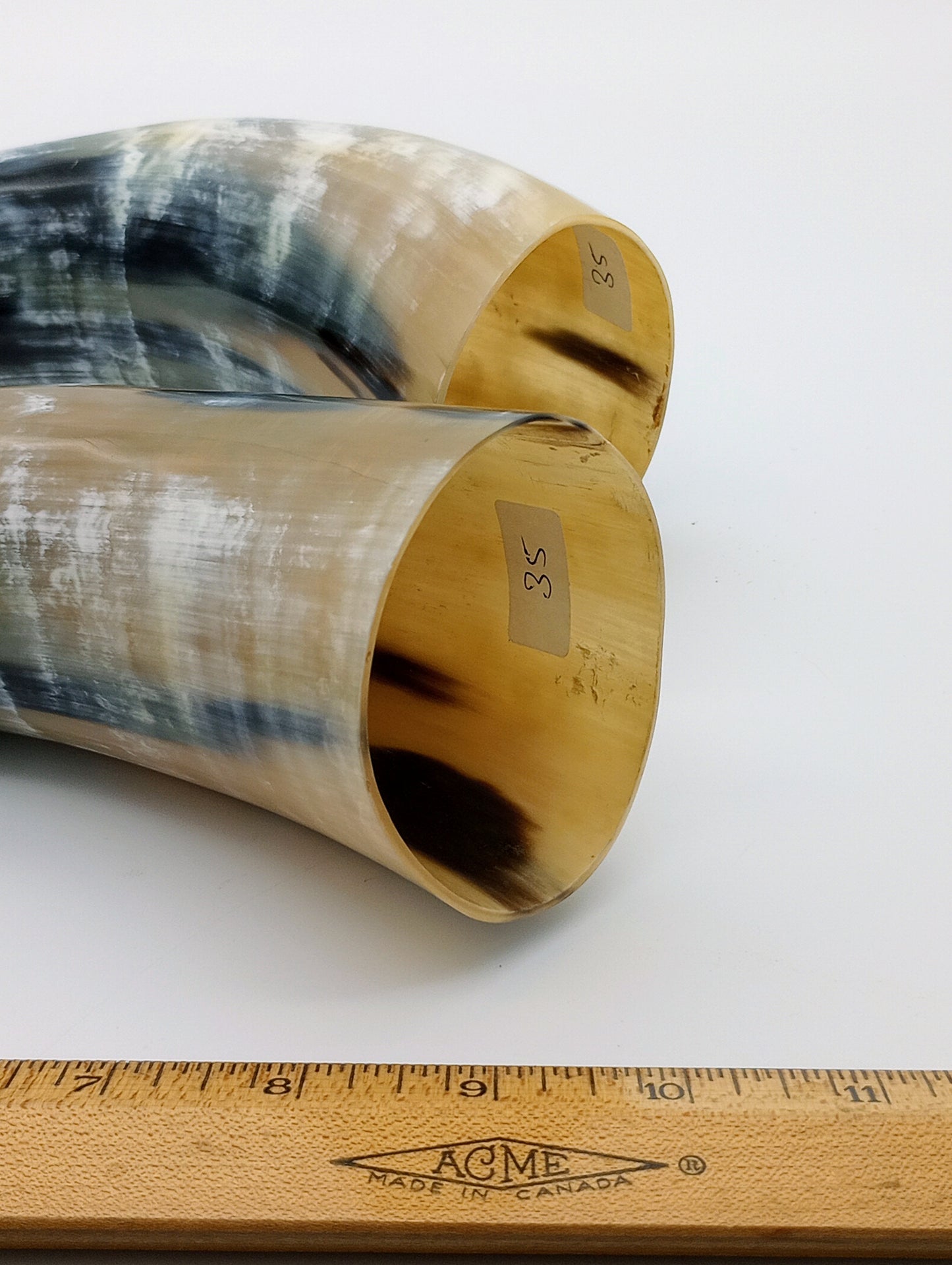 Polished Steer Horns paired, 10 - 14" long, scrapped and polished, for Indigenous Rattles, Regalia, Jewelry, and Powder horns.