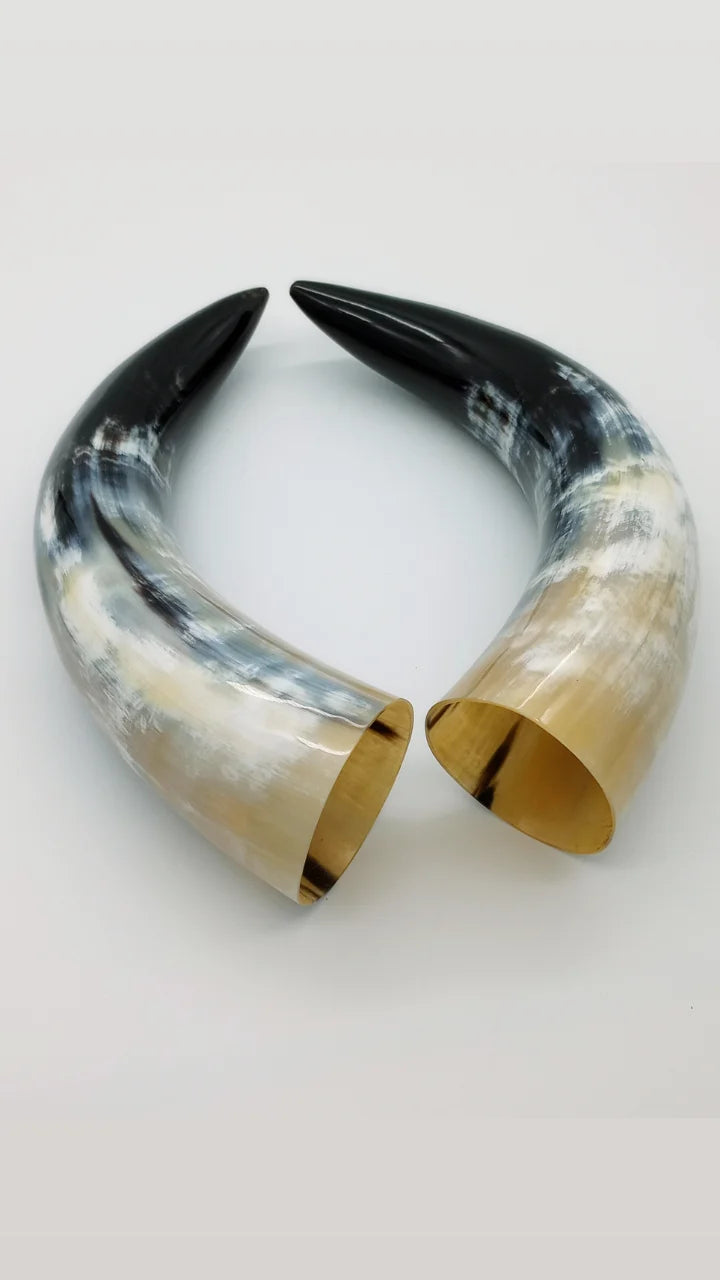 Polished Steer Horns paired, 10 - 14" long, scrapped and polished, for Indigenous Rattles, Regalia, Jewelry, and Powder horns.