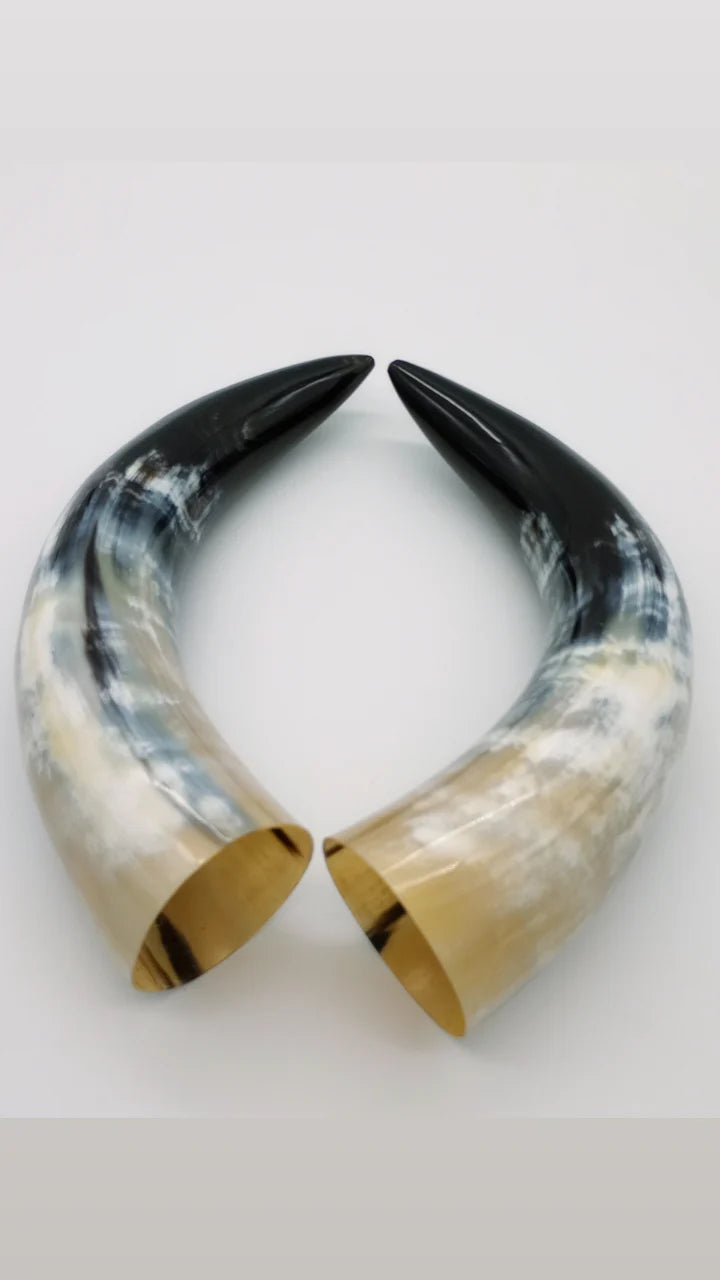 Polished Steer Horns paired, 10 - 14" long, scrapped and polished, for Indigenous Rattles, Regalia, Jewelry, and Powder horns.