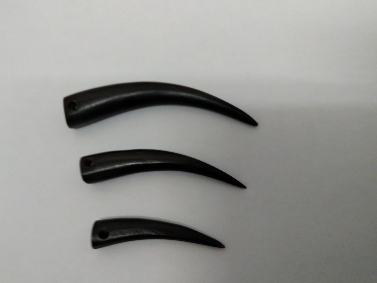 Talons, Hand Carved Black Buffalo Horn or Cow Bone 1.5"- 2.5" Drilled for Pendants