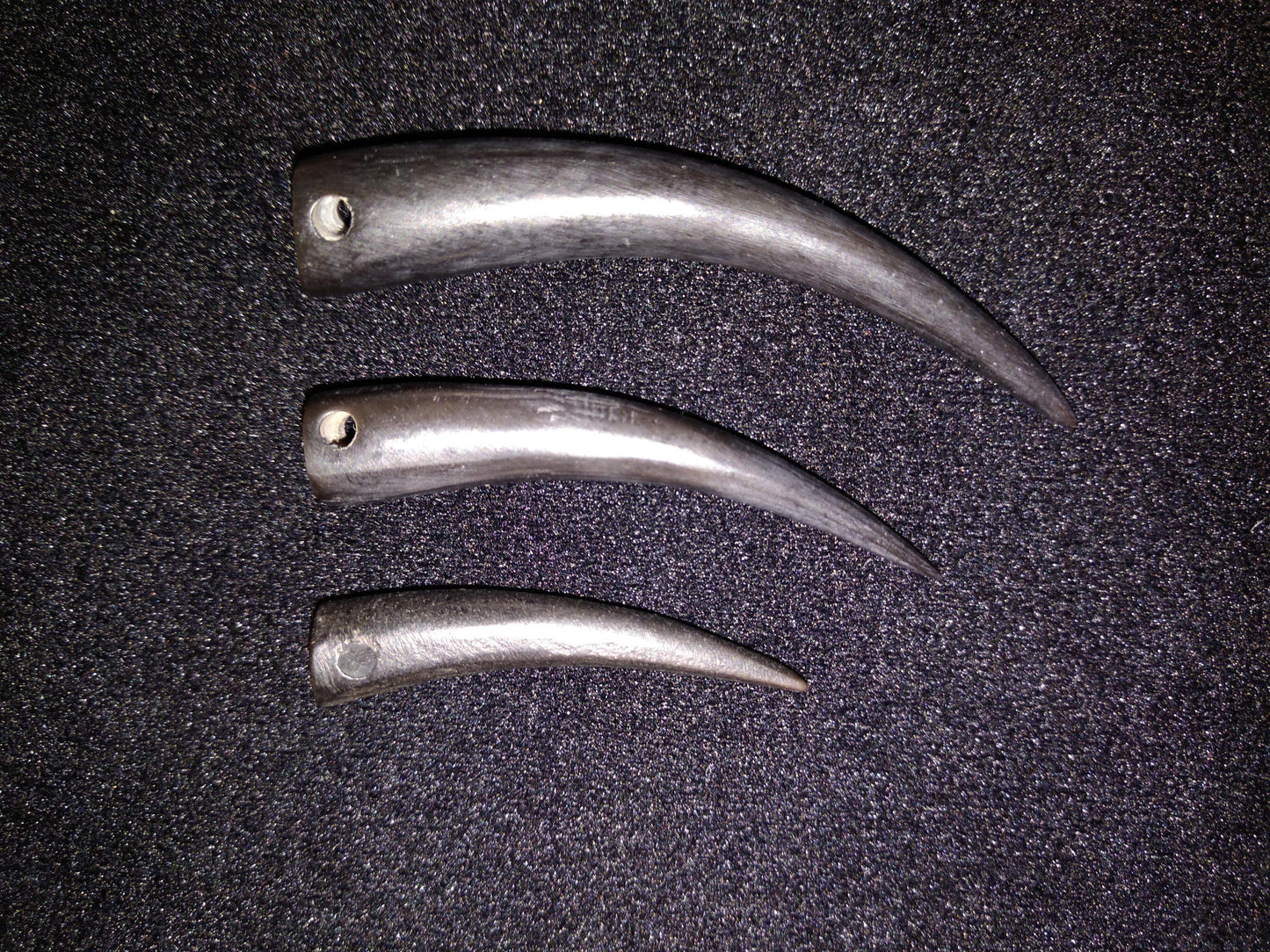 Talons, Hand Carved Black Buffalo Horn or Cow Bone 1.5"- 2.5" Drilled for Pendants