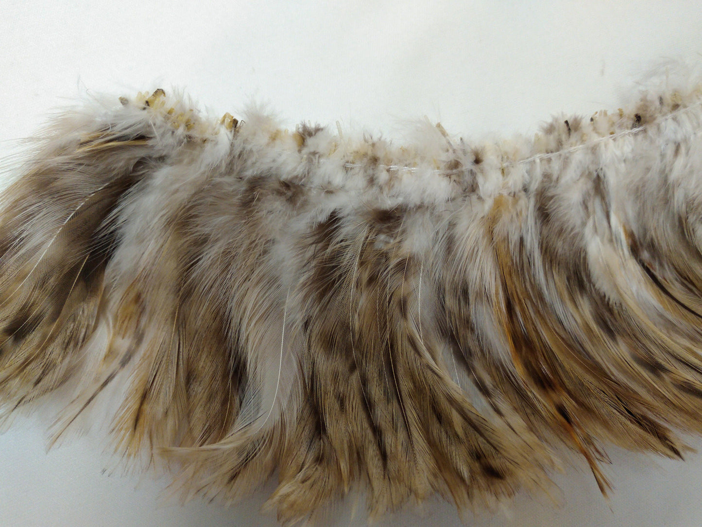 Pheasant Cock Saddle Hackle Feathers Strung/bound for protection and easy application for Dreamcatchers, Earrings, Necklaces, Regalia