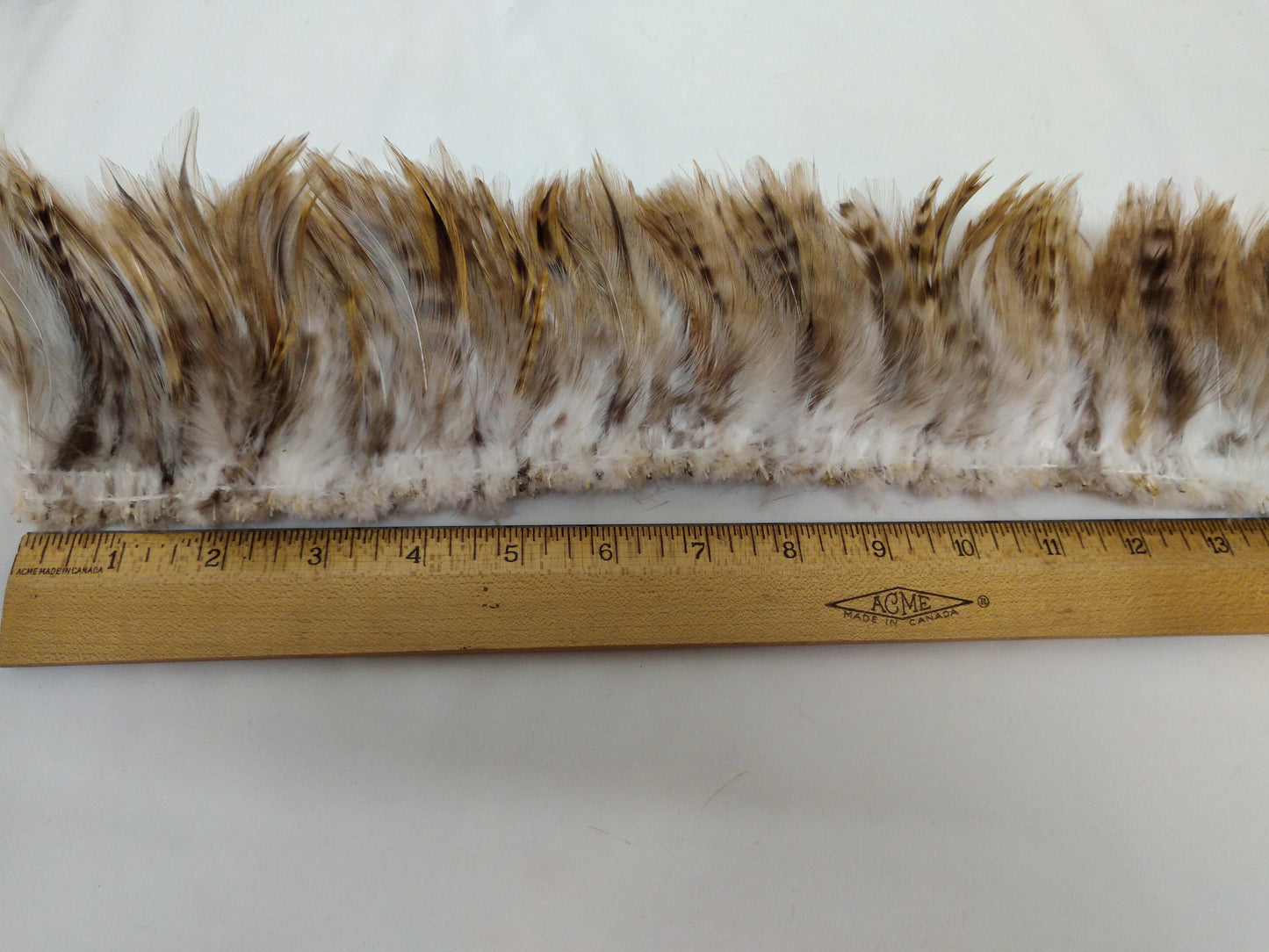 Pheasant Cock Saddle Hackle Feathers Strung/bound for protection and easy application for Dreamcatchers, Earrings, Necklaces, Regalia