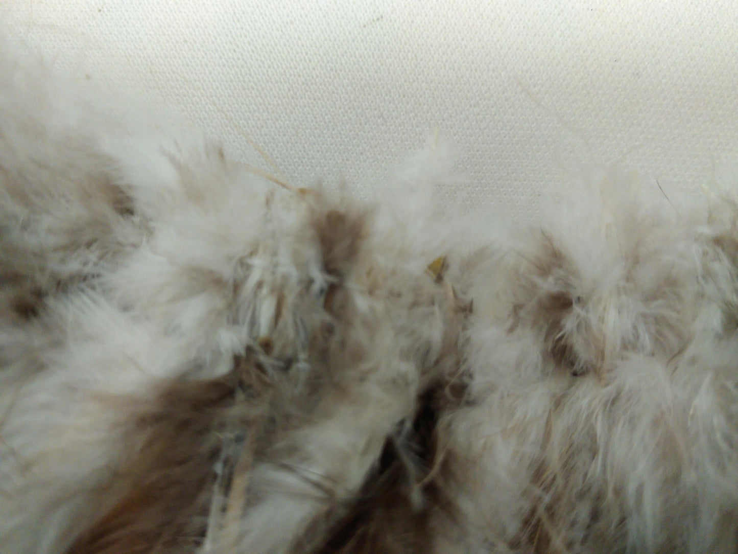 Pheasant Cock Saddle Hackle Feathers Strung/bound for protection and easy application for Dreamcatchers, Earrings, Necklaces, Regalia