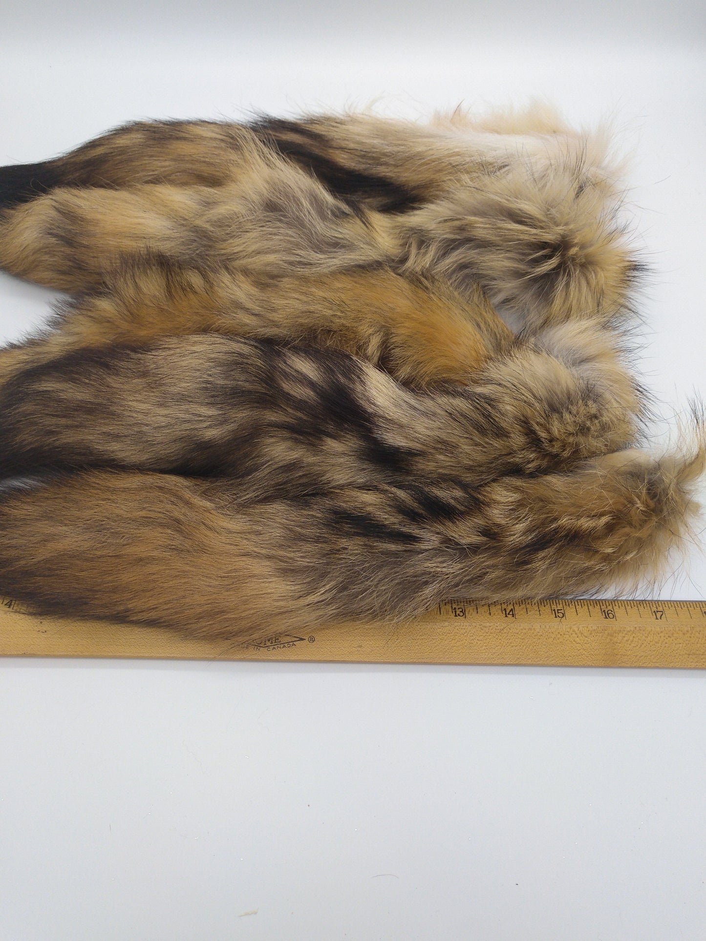 Brush Wolf Tail, Fox Pelt Tail, Keychain, 16 - 19" average length