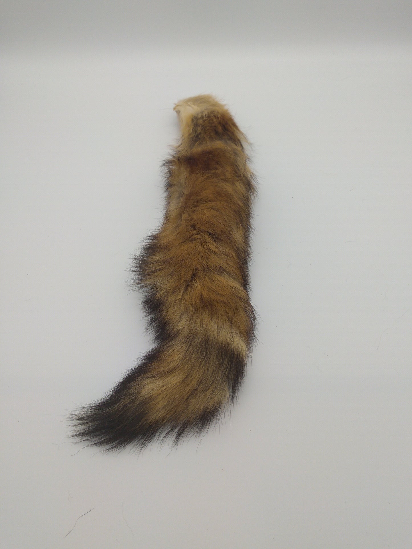 Brush Wolf Tail, Fox Pelt Tail, Keychain, 16 - 19" average length