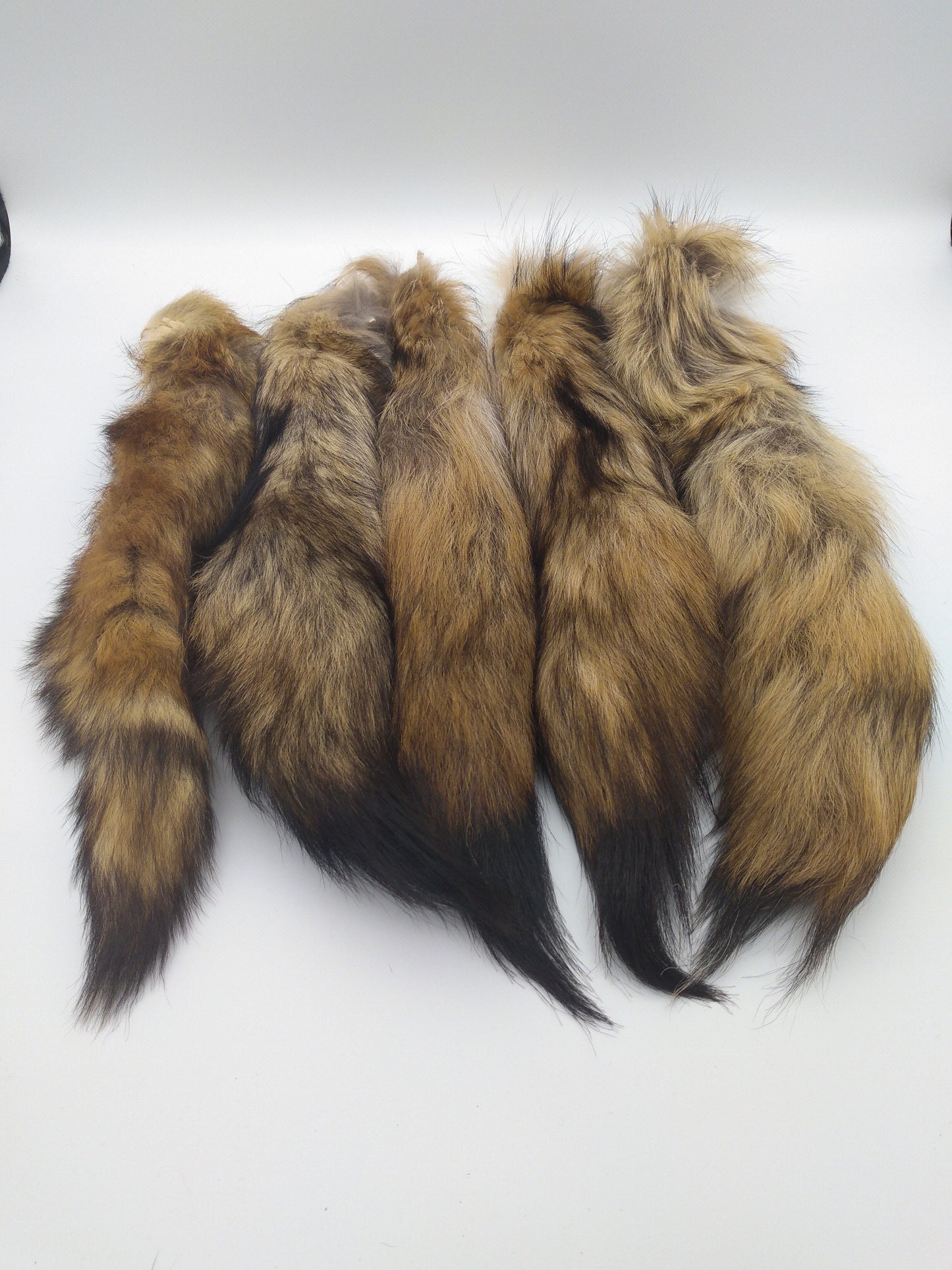 Brush Wolf Tail, Fox Pelt Tail, Keychain, 16 - 19" average length