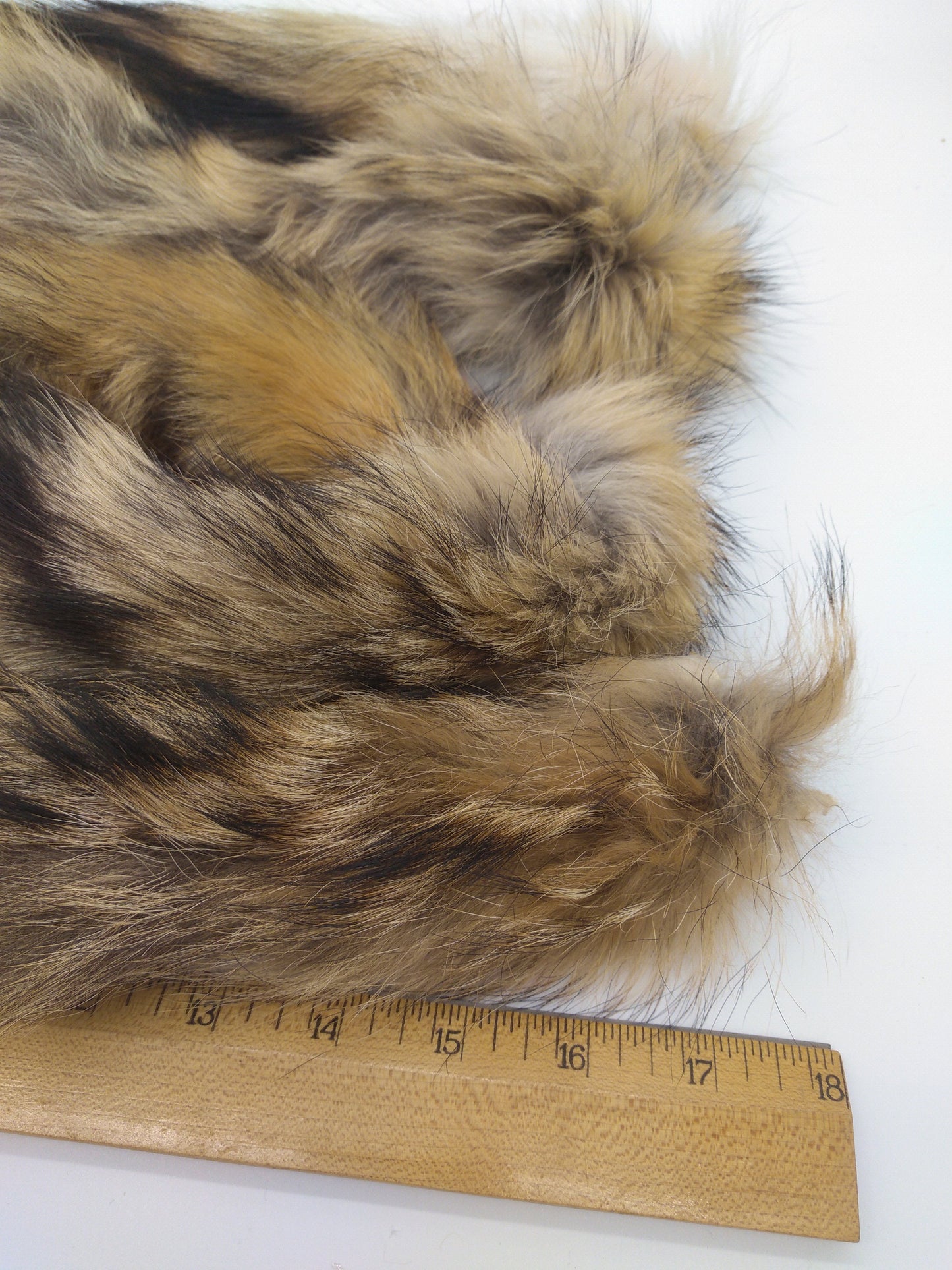 Brush Wolf Tail, Fox Pelt Tail, Keychain, 16 - 19" average length