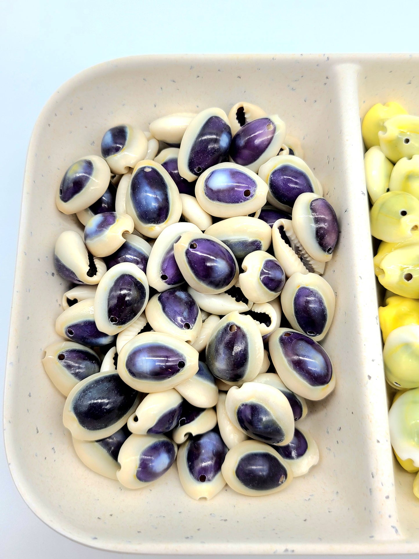 Purple Top Ring top Cowrie Shell, pre drilled, 30 grams 23-25pcs and 45 grams 37-41 pcs