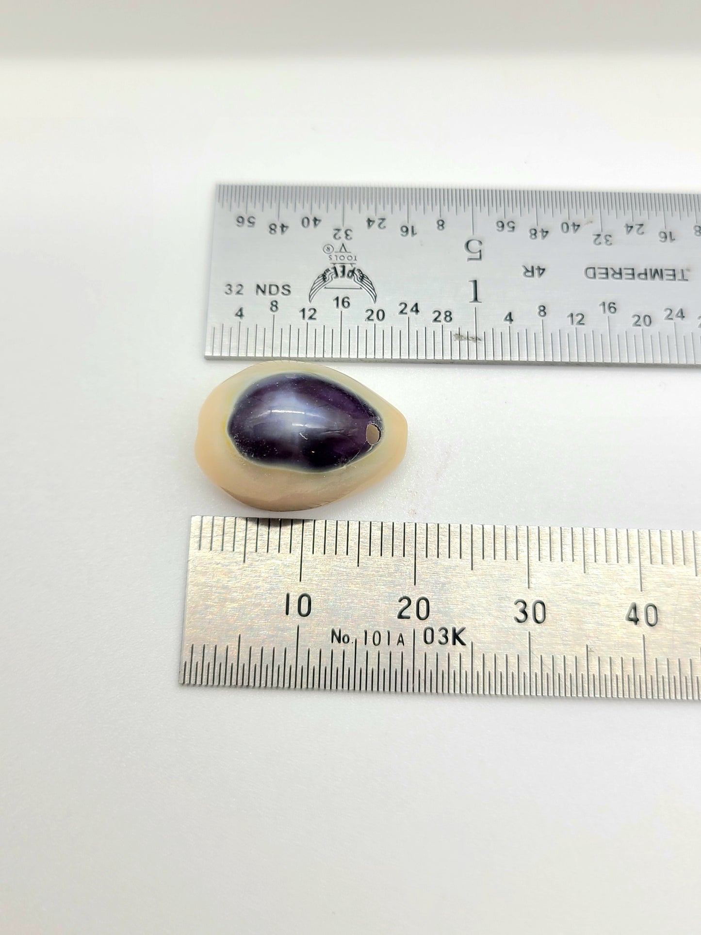 Purple Top Ring top Cowrie Shell, pre drilled, 30 grams 23-25pcs and 45 grams 37-41 pcs