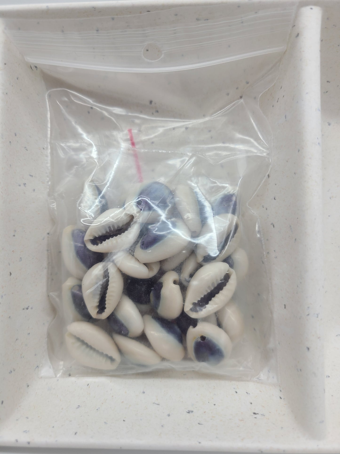 Purple Top Ring top Cowrie Shell, pre drilled, 30 grams 23-25pcs and 45 grams 37-41 pcs