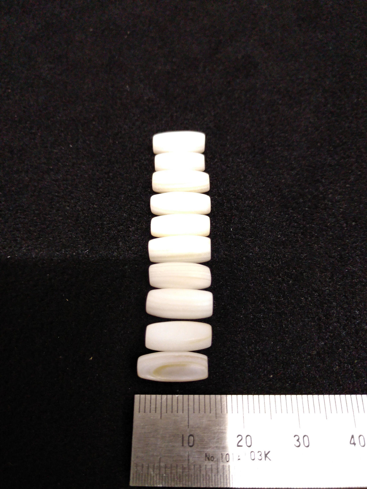 Fresh Water Clam Shell, Hand Crafted Hair Pipes Bead, 1/2