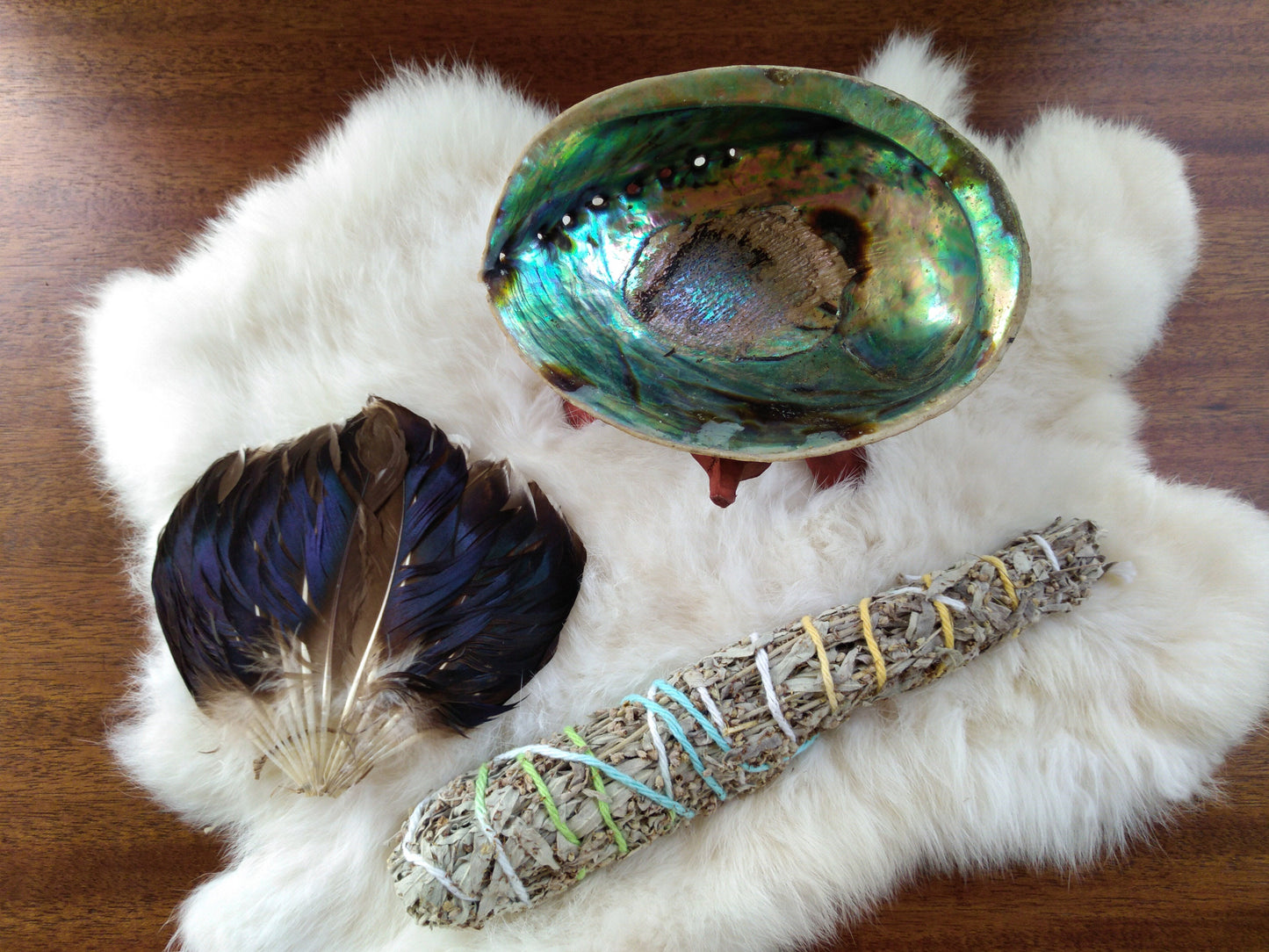 4 3/4" - 5" Paua Shells aka Abalone Shells for Smudging, Ceremonies, Sage, Sweetgrass, Cedar, Tobacco