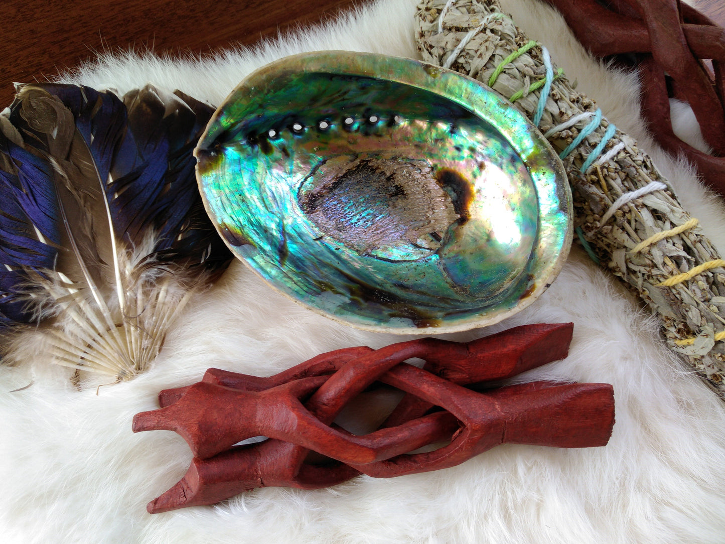 4 3/4" - 5" Paua Shells aka Abalone Shells for Smudging, Ceremonies, Sage, Sweetgrass, Cedar, Tobacco