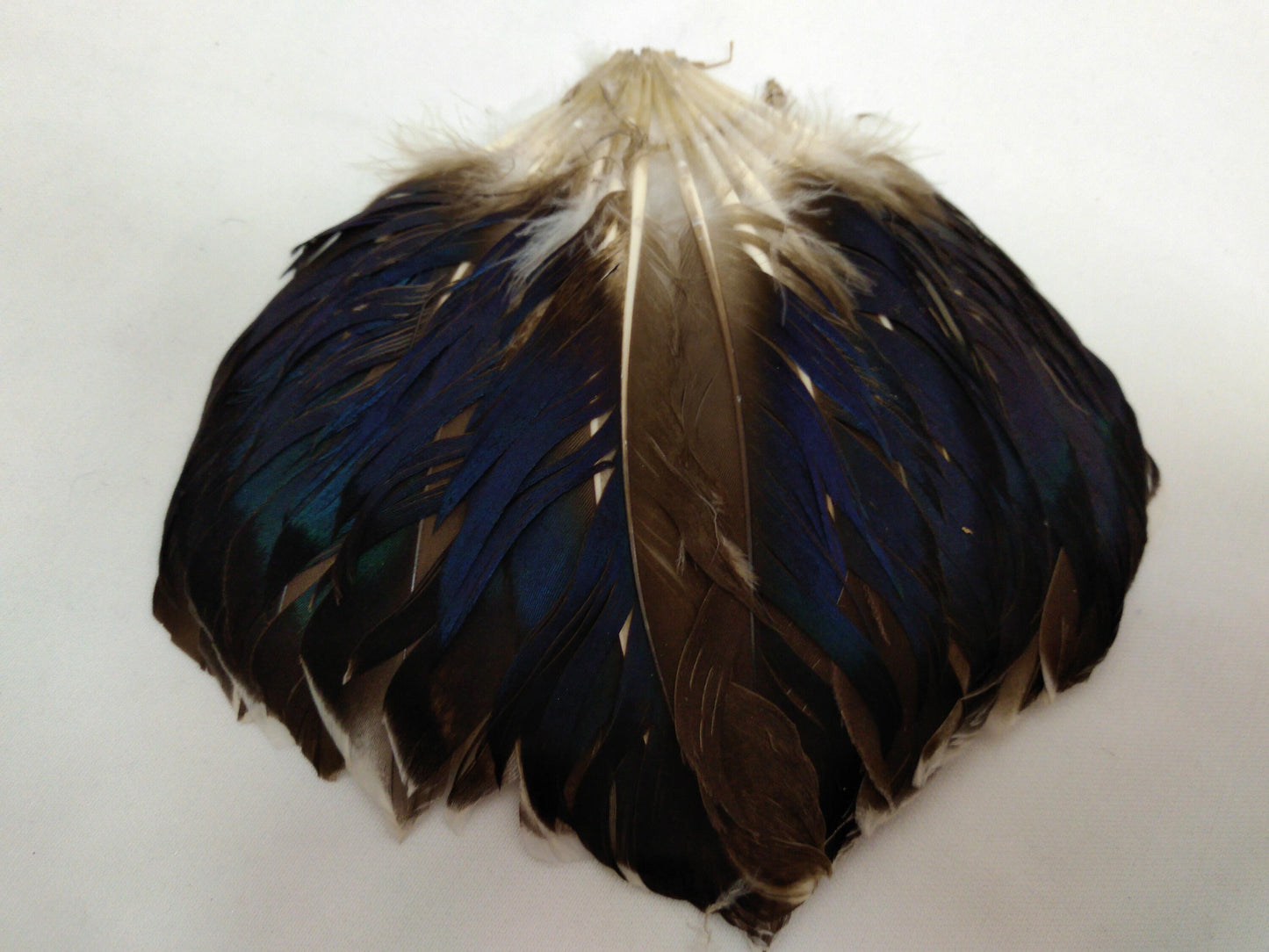 Feather Duck Tail Fan for Smudging, Ceremonies, Decorations, Fans, Jewelry