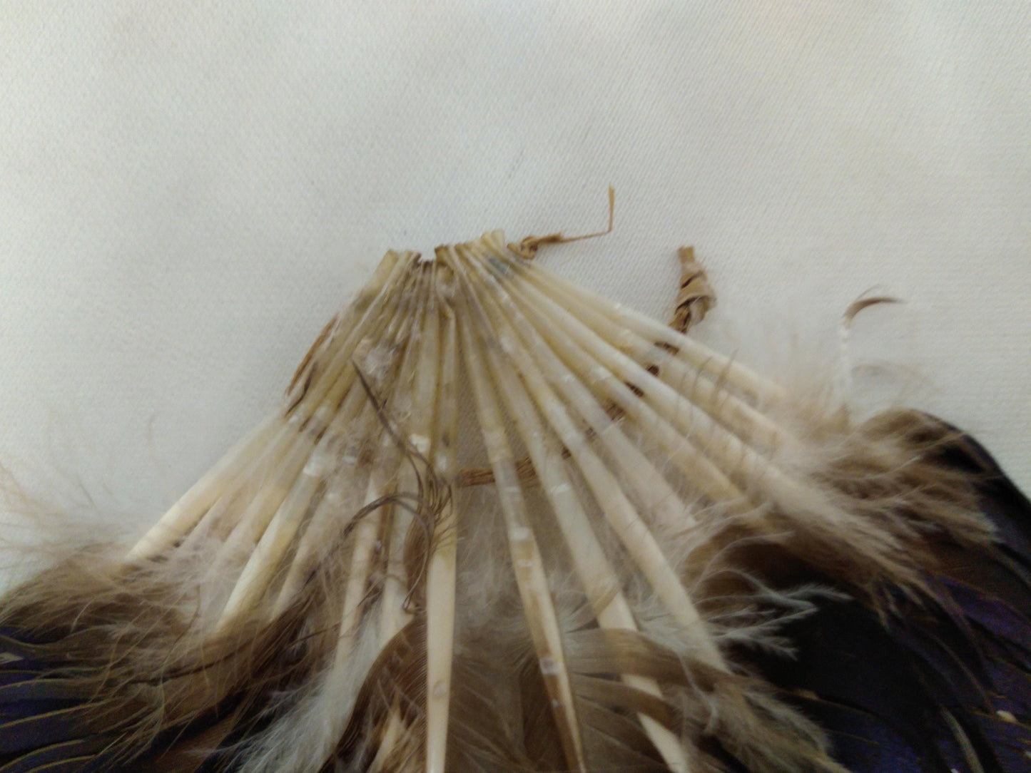 Feather Duck Tail Fan for Smudging, Ceremonies, Decorations, Fans, Jewelry