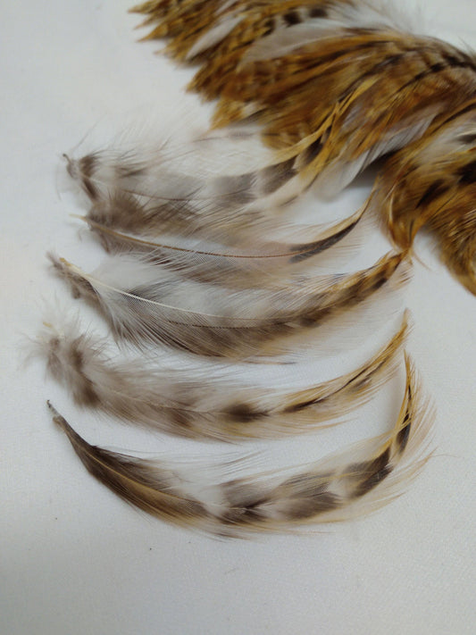 Pheasant Cock Saddle Hackle Feathers Strung/bound for protection and easy application for Dreamcatchers, Earrings, Necklaces, Regalia