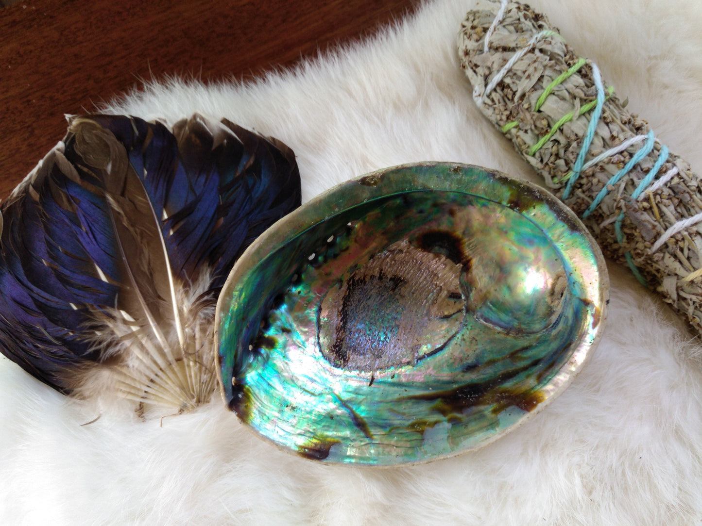 4 3/4" - 5" Paua Shells aka Abalone Shells for Smudging, Ceremonies, Sage, Sweetgrass, Cedar, Tobacco